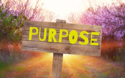Now What? 12 Tips to Finding Purpose in Midlife