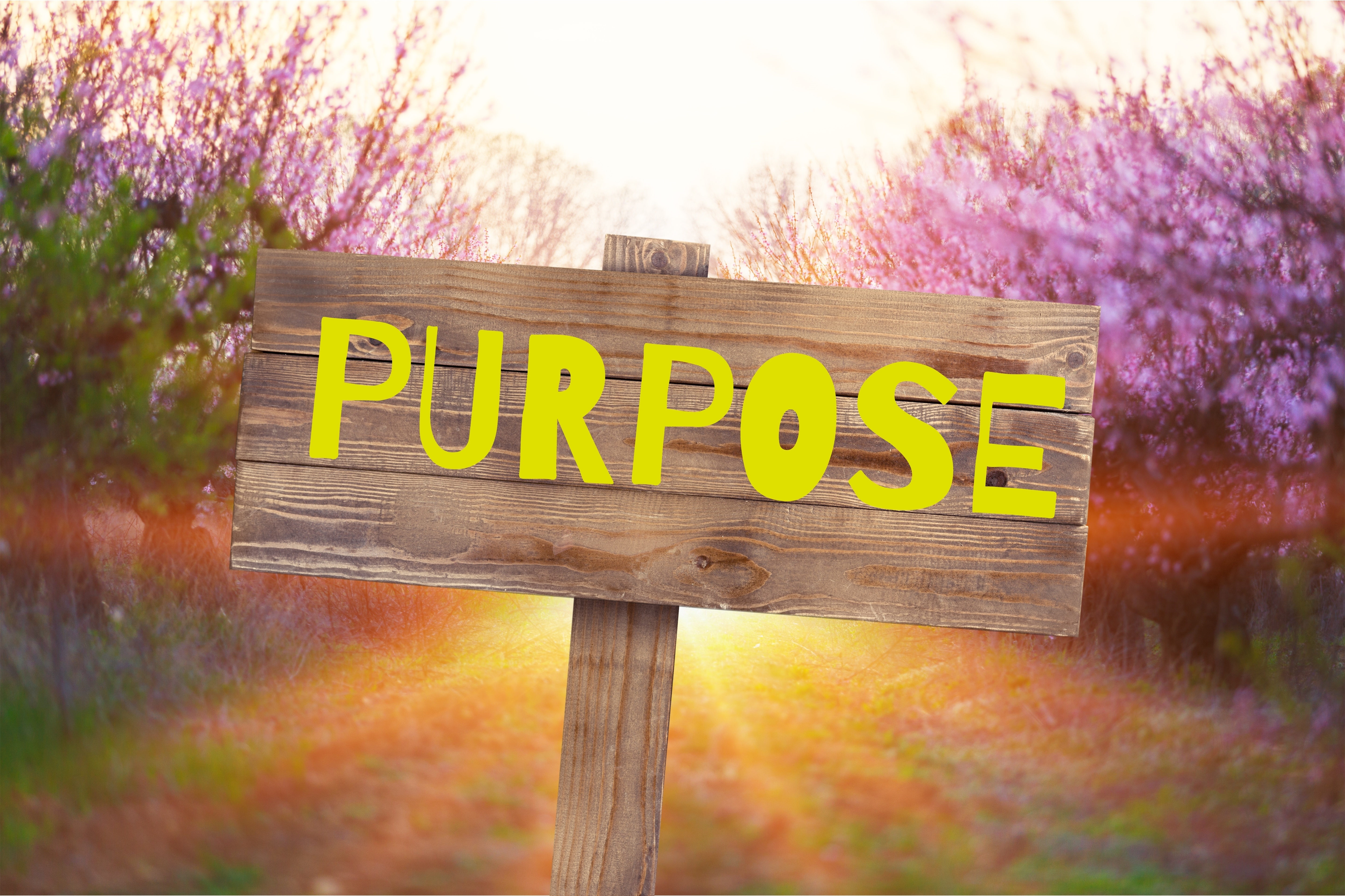 Purpose sign